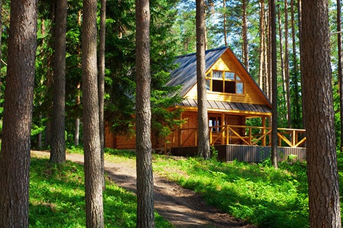 A cabin surrounded by trees and wooded area