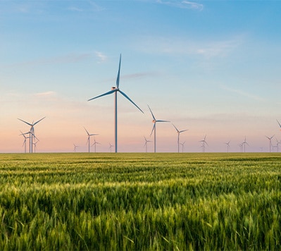 A field of wind turbines